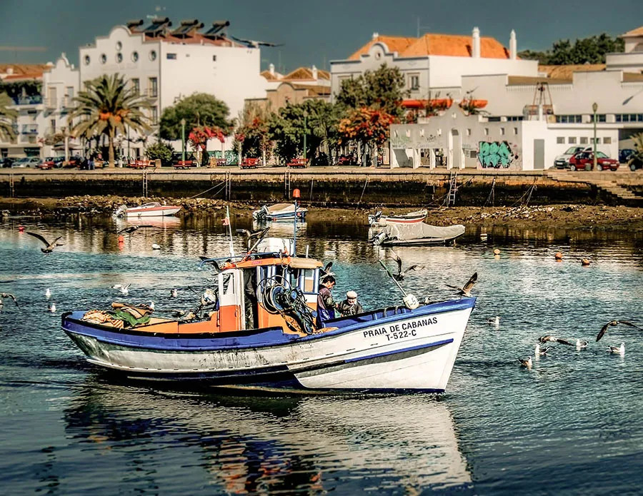 Traditional Algarve Tour