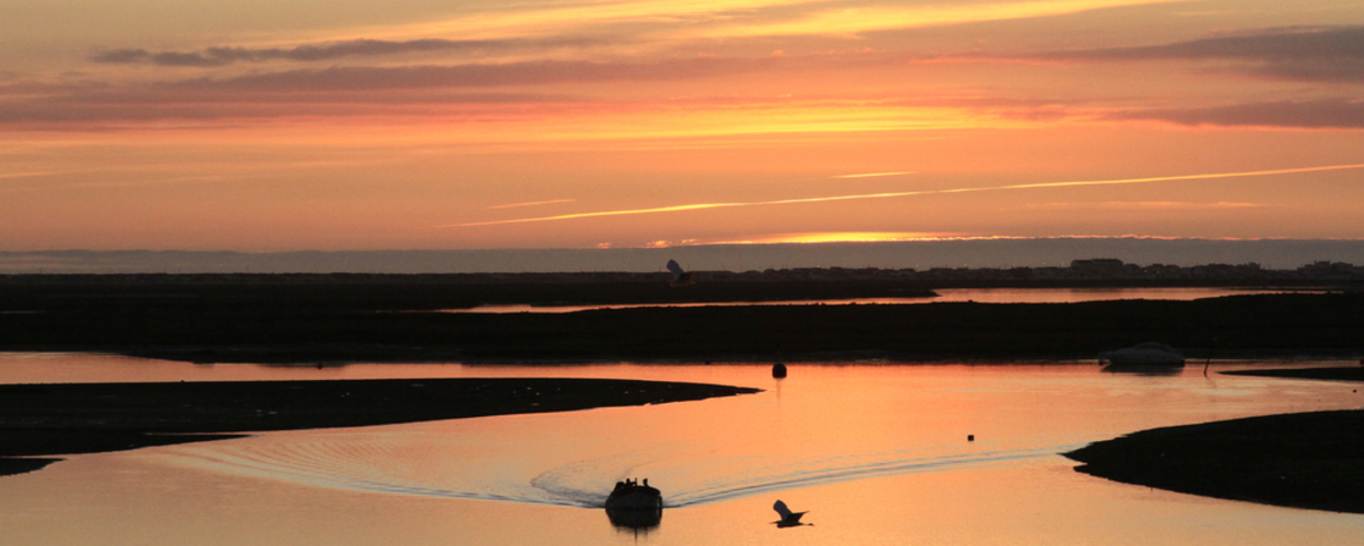 Private sunset tour in Faro on a catamaran