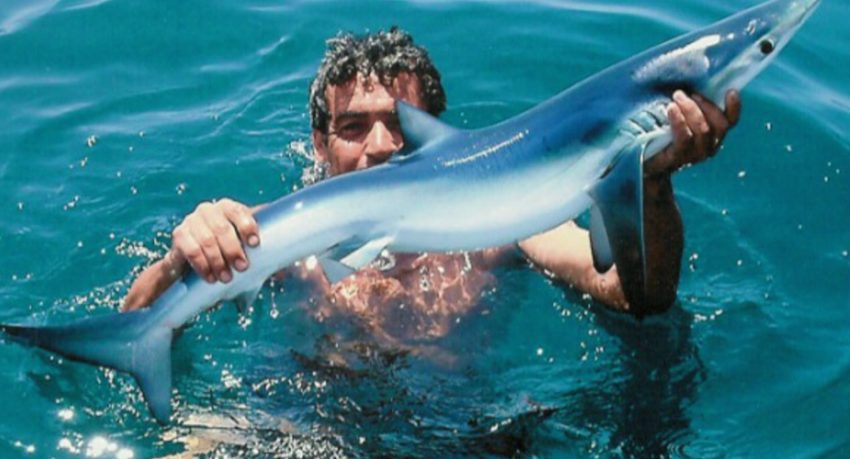 Shark fishing tour in Vilamoura