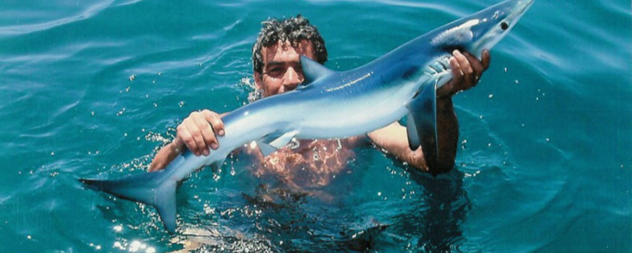 Shark fishing tour in Vilamoura