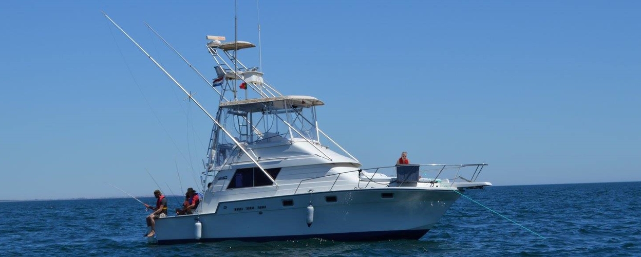 Tuna & shark fishing in Tavira