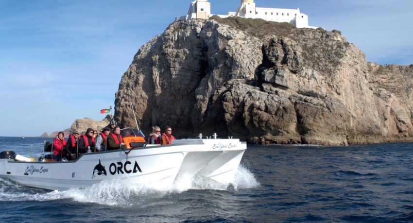 South coast boat trip from Sagres