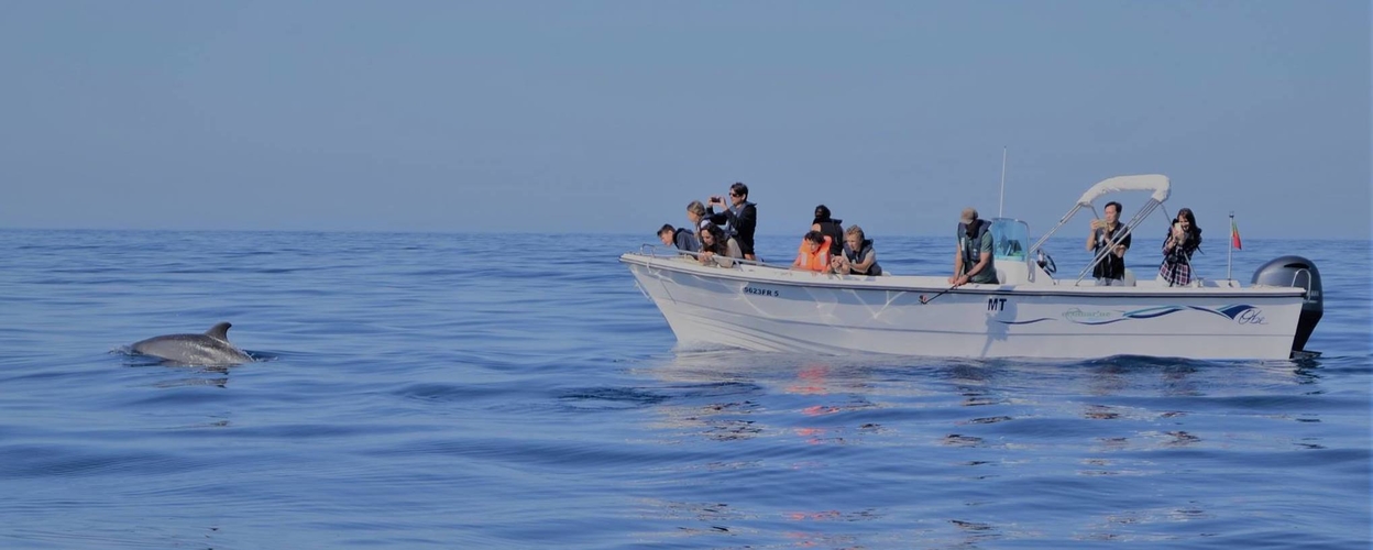 Boat tour to the dolphins in Faro
