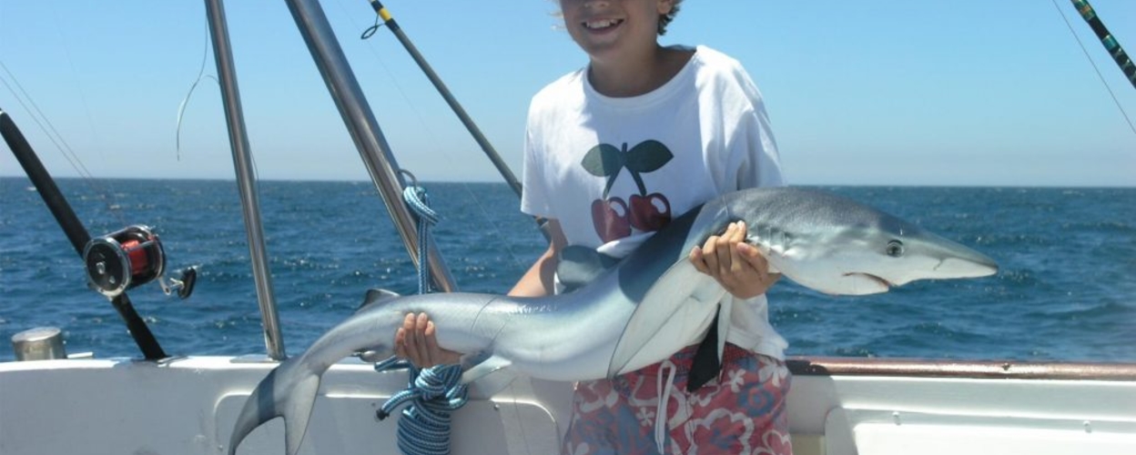 Shark fishing in Albufeira