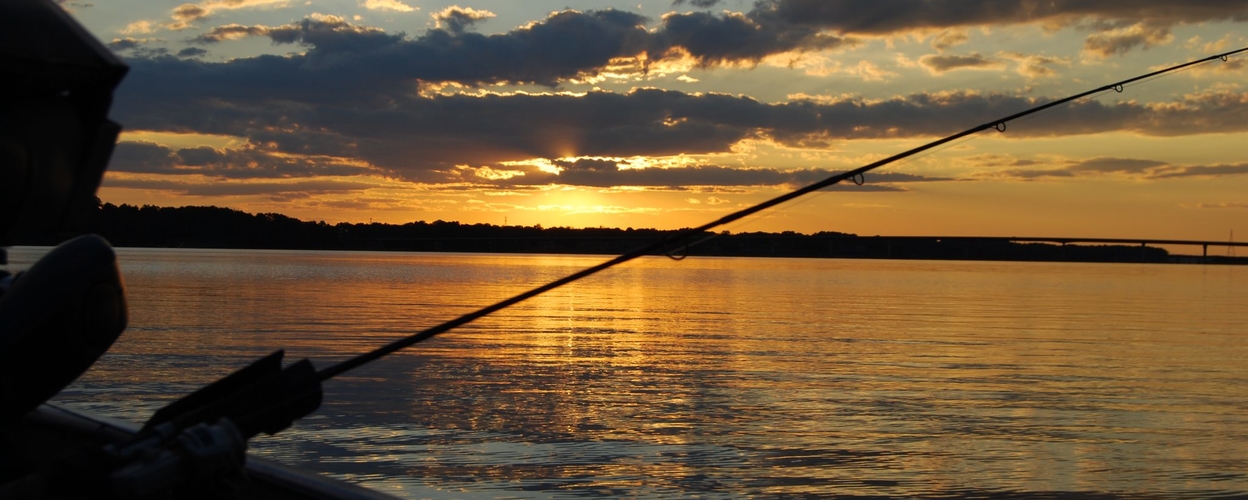 Sport fishing in Portimão