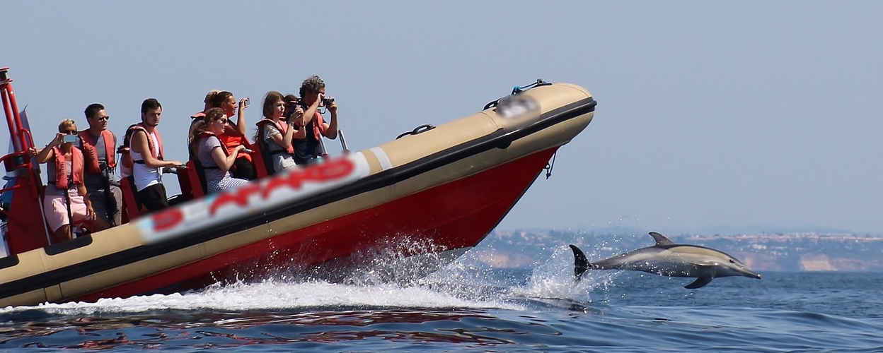Dolphin watching from Portimão Marina