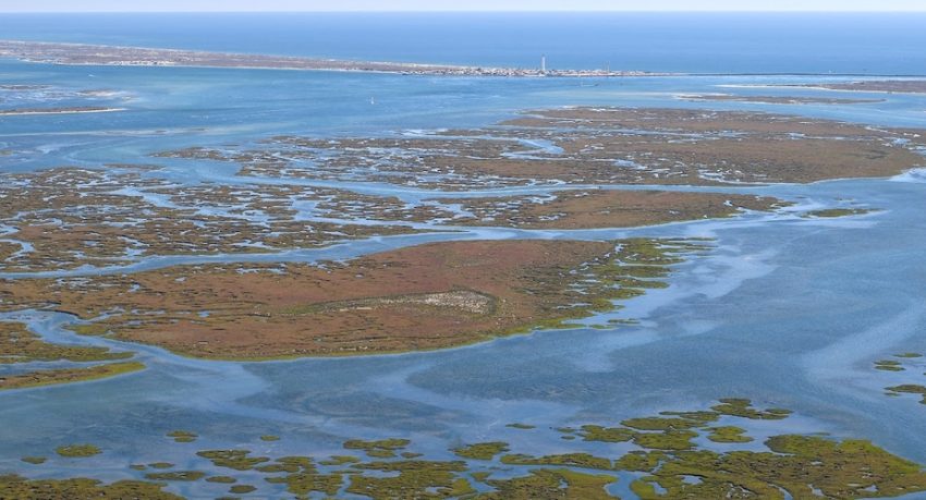 2 Islands Ria Formosa tour from Faro with visit to the salt ponds