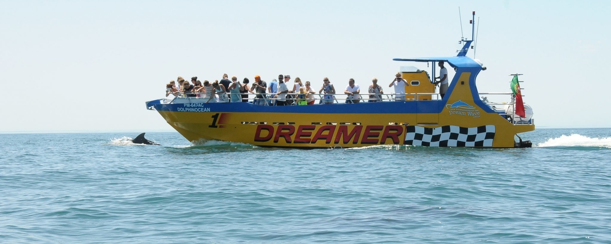 Caves & dolphin watching from Albufeira – Dreamer